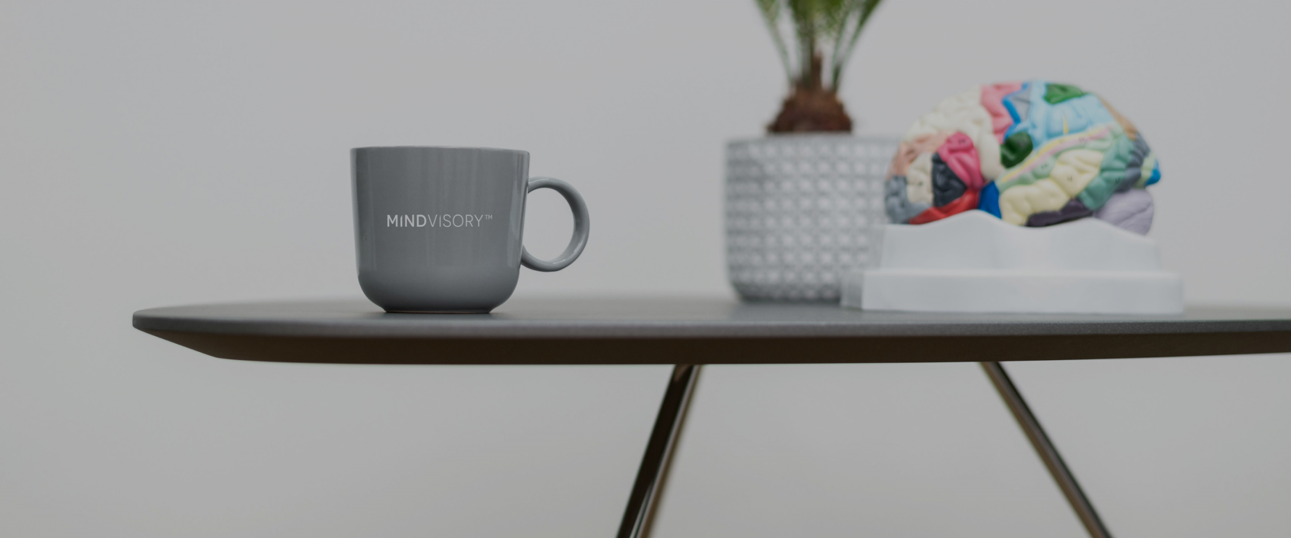 Wissen und Kontakt für zertifizierte NLP-Ausbildung, Mindvisory Tasse und andere Gegenstände auf einem Tisch