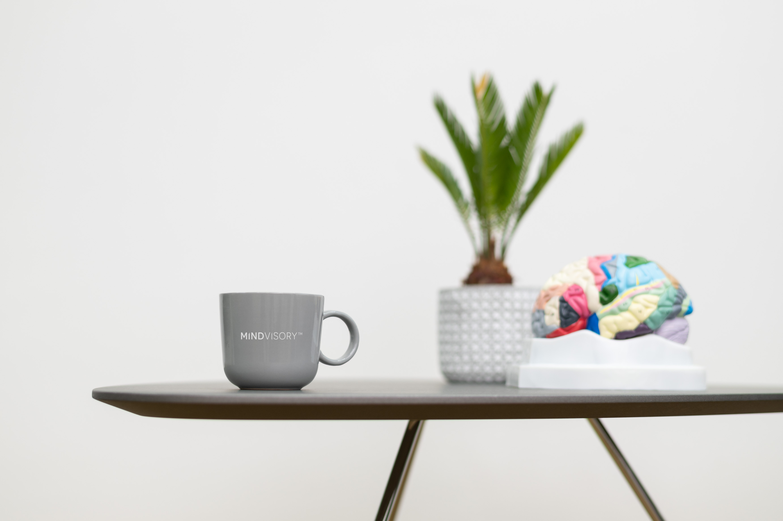 Mindvisory, NLP-Wissen und Grundlagen nach höchster Zertifizierung in Hamburg